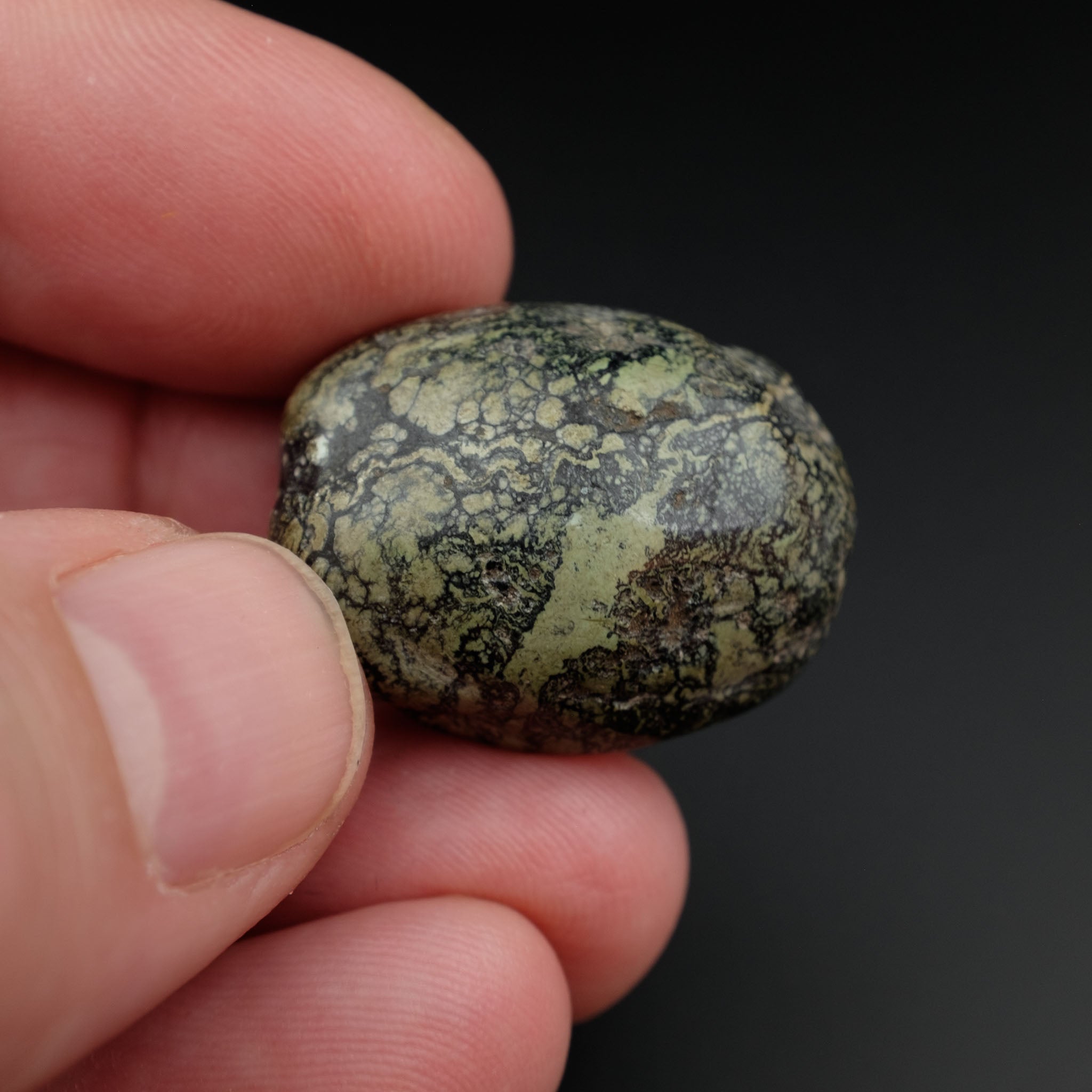 Antique Tibetan Turquoise Bead (12.6 g)