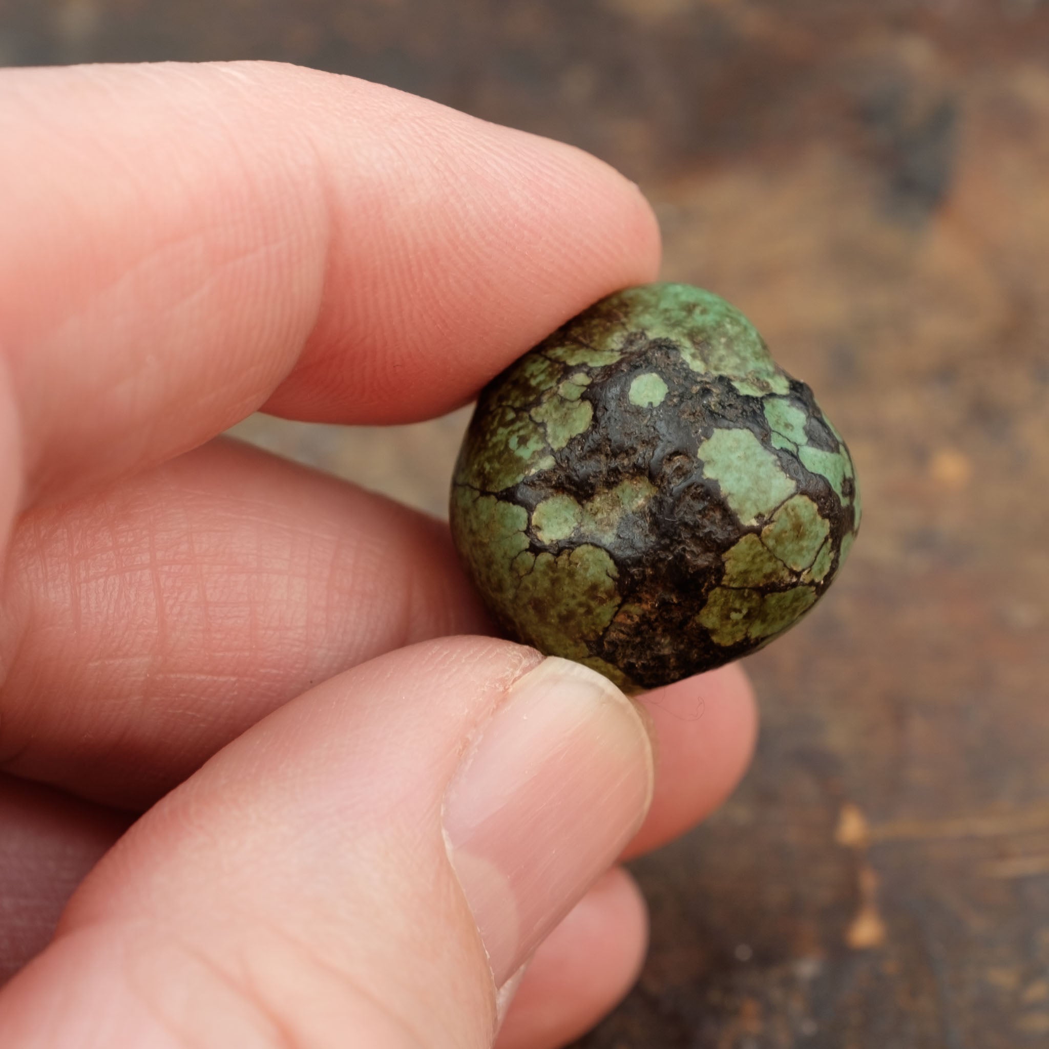 Antique Tibetan Turquoise Bead (10 g)