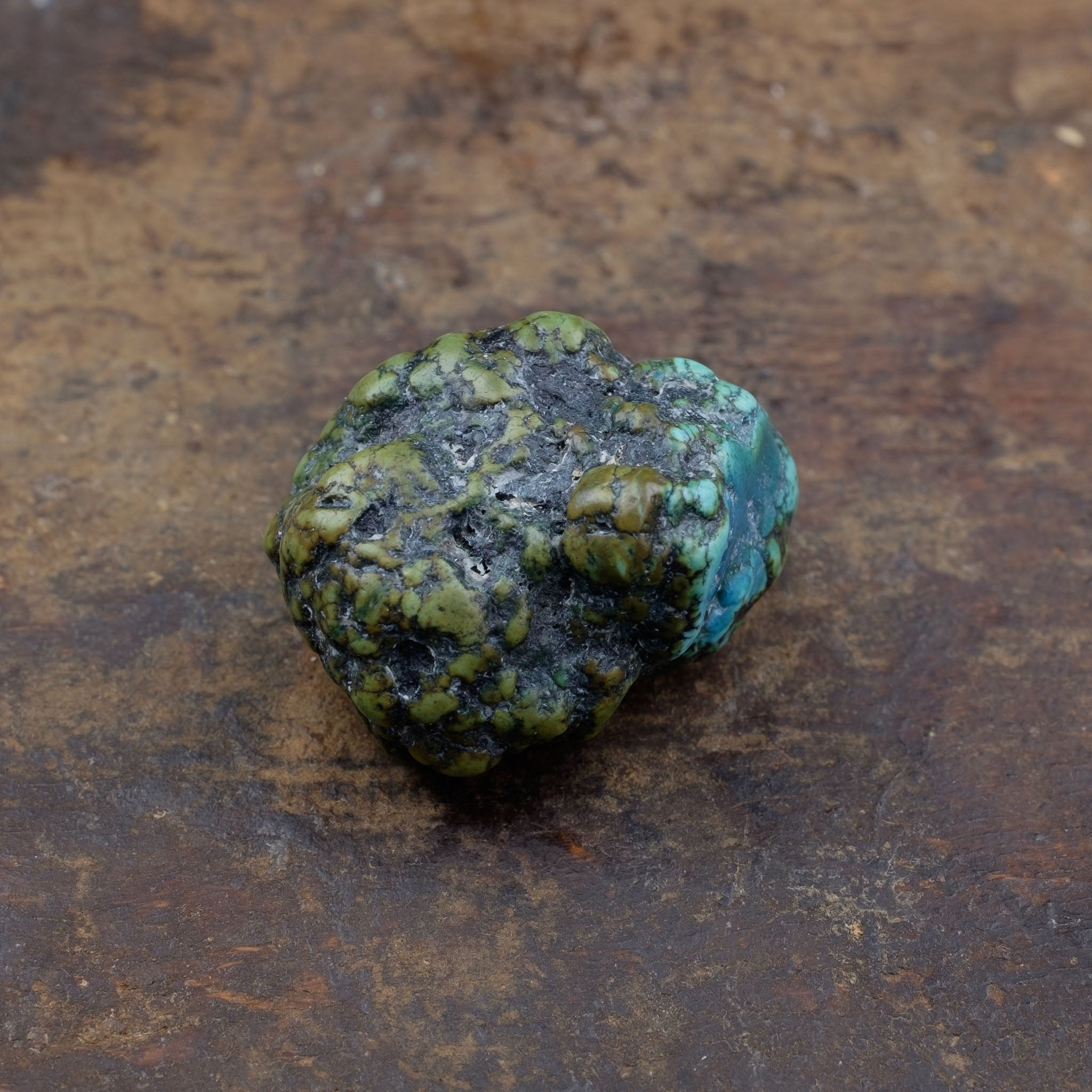 Antique Tibetan Turquoise Bead (7.2 g)