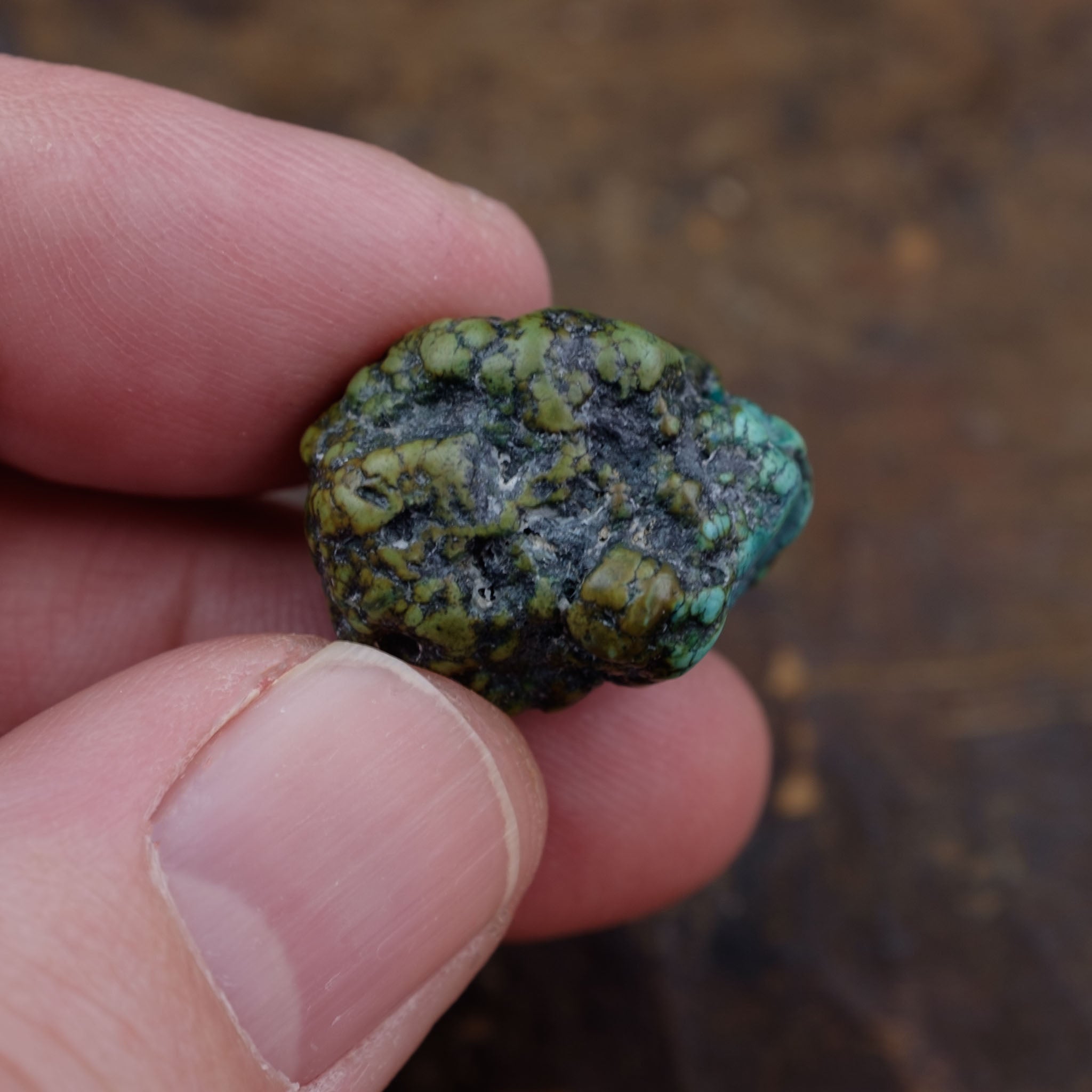 Antique Tibetan Turquoise Bead (7.2 g)