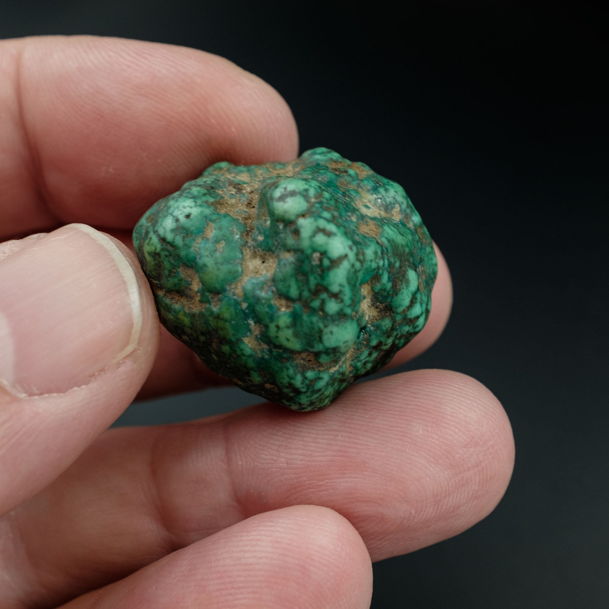 Antique Tibetan Natural Turquoise Bead (14.6 g)