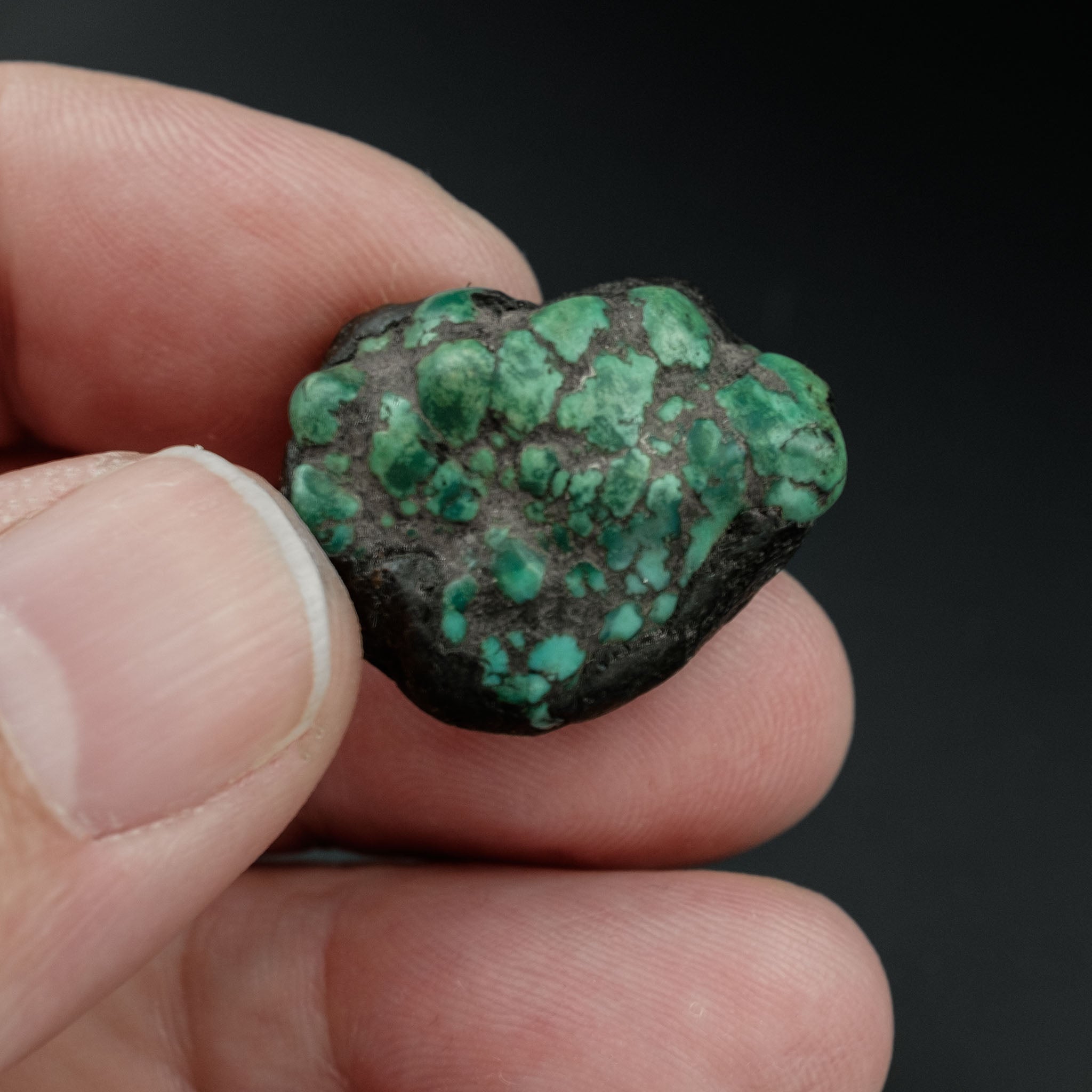 Antique Tibetan Turquoise Bead (8.4 g)