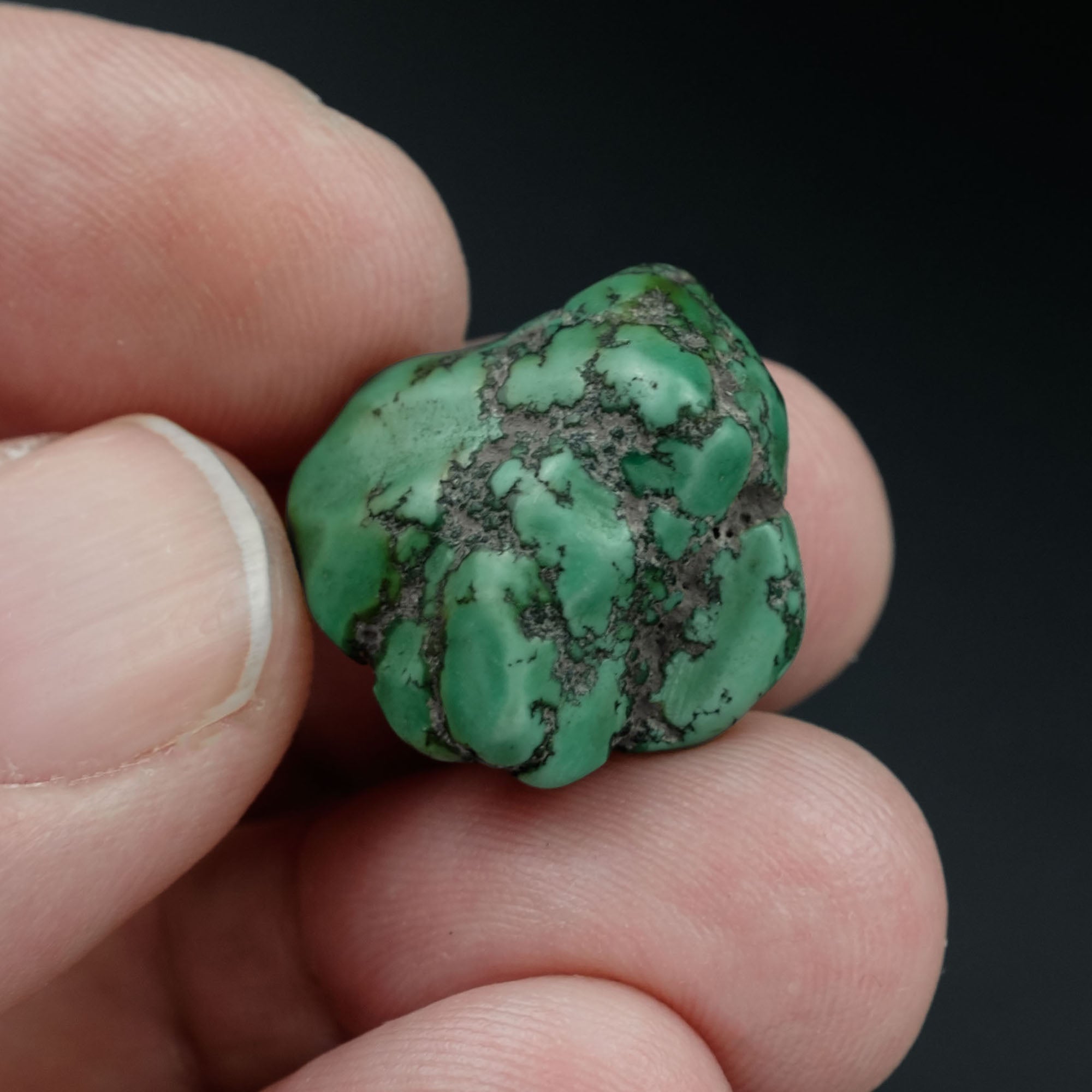 Antique Tibetan Turquoise Bead (5.8 g)